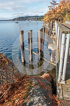 Boats At Coulon Park 4