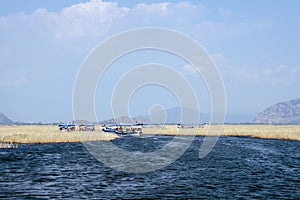 Boats on Dalyan river, Dalyan, Mugla