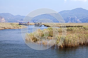 Boats on Dlayan river, Dalyan, Mugla