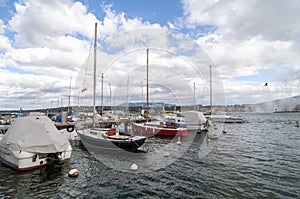 Boats in a dock