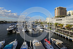 Boats docked in Fort Lauderdale