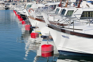 Boats docked at a marina in Liguria, Italy