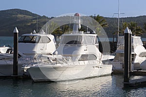 Boats docked in Whitsunday Island Marina