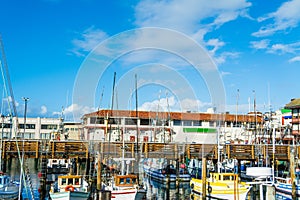 Boats in Fisherman`s Wharf