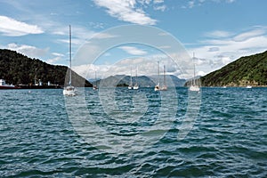 Boats floating in Port Marlborough in Picton