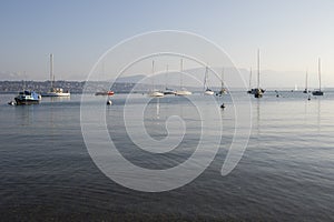 Boats on the Geneva`s Lake photo