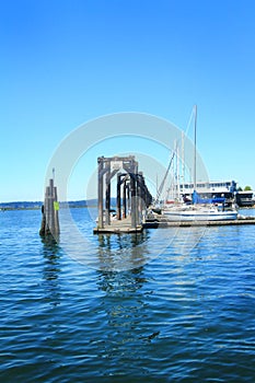 Boats at Guest Moorage Dock