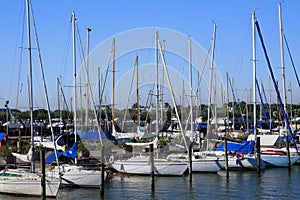 Boats at Harbor