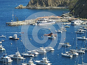 Boats in the Harbor of Avalon Bay on Catalina Island, California