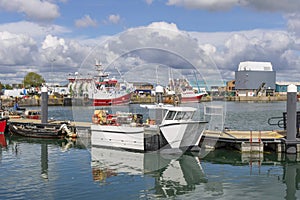 Boats in Harbor, Ireland