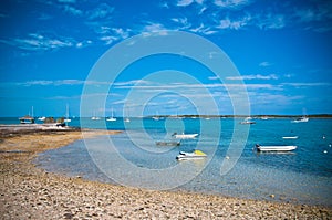 Boats in the Harbour