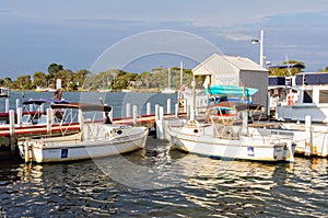 Moored boats - Paynesville