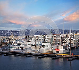 Boats At Homer Alaska