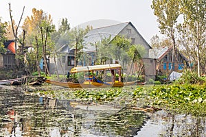 Boats and houses on the shore of Dal Lake