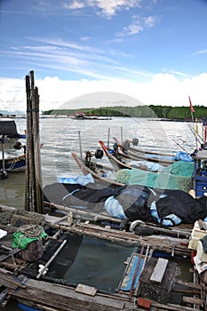 Boats in Kukup fishing village
