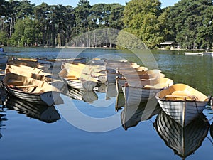 Boats on Lake Bois de Boulogne, Paris, France, Europe