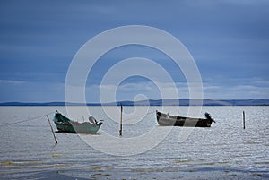 boats on Lake Razim