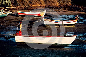 Boats at low tide