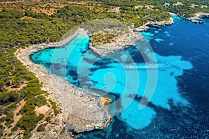 Boats and luxury yachts in transparent sea at sunny day. Aerial