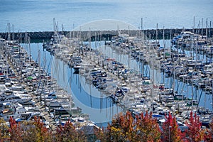 Boats in a Marina