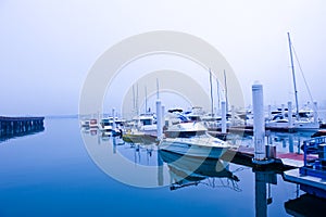 Boats at marina photo