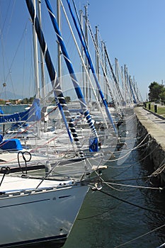 Boats in marina Bocca di Magra photo