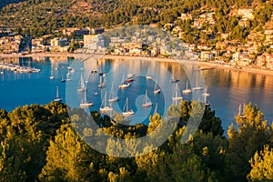 Boats and Marina in Port de Soller Mallorca Spain