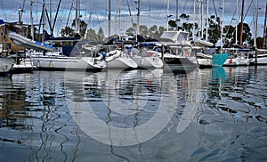Boats in the marina and reflections in the water photo