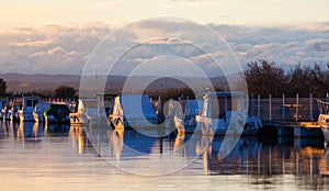 Boats in a marina at sunset