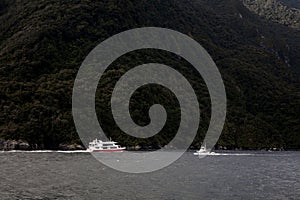 Boats on Milford Sound