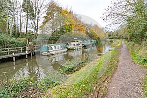 Boats moored on Bridgwater to Taunton Canal