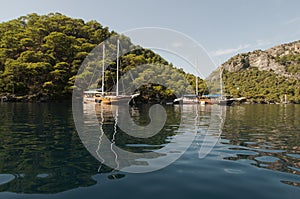 Boats moored in Fethiye Bay photo