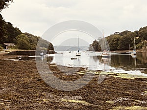 Boats  moored  at low tide in idyllic creek