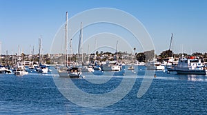 Boats moored in Newport Beach Harbor