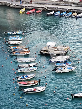 boats moored in Vernazza's port