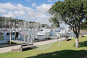 Boats moored at Whangarei Marina