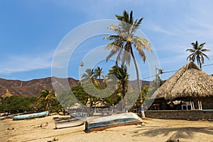 Boats and Palm Trees in beach by the village of Taganga in the Caribbean Coast of Colombia