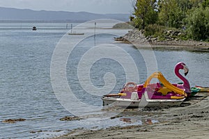 Boats and pedal boats on the beach of Punta Navaccia, Tuoro sul Trasimeno, Perugia, Italy