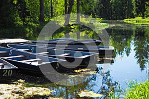 Boats on the pier in the city Park. Summer Park with a lake. Docked wooden rowing boat.