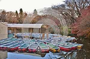 Boats on the pond