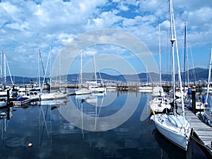 Boats in the port of Vigo photo