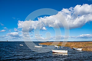 Boats and reeds on the Baltic Sea in Denmark