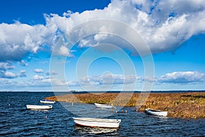 Boats and reeds on the Baltic Sea in Denmark