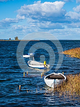 Boats and reeds on the island Moen on the Baltic Sea in Denmark