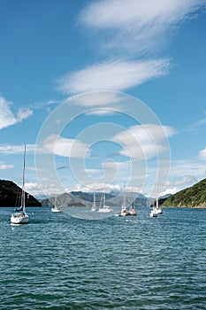Boats sailing in Picton Harbour. New Zealand