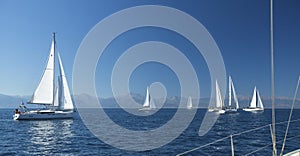 Boats in sailing regatta. Luxury yachts.