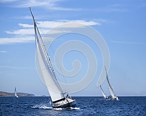 Boats in sailing regatta. Luxury yachts.