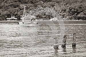 Boats ships Boat Mangrove and Pouso beach Ilha Grande Brazil