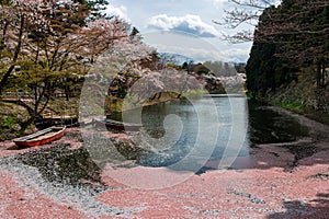 Boats and a small river surrounded by colorful Sakura (Cherry Blossom) during the spring bloom