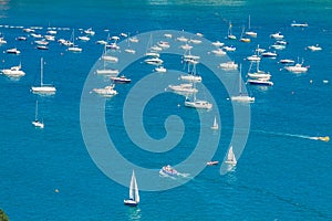Boats and speedboats parked offshore photo